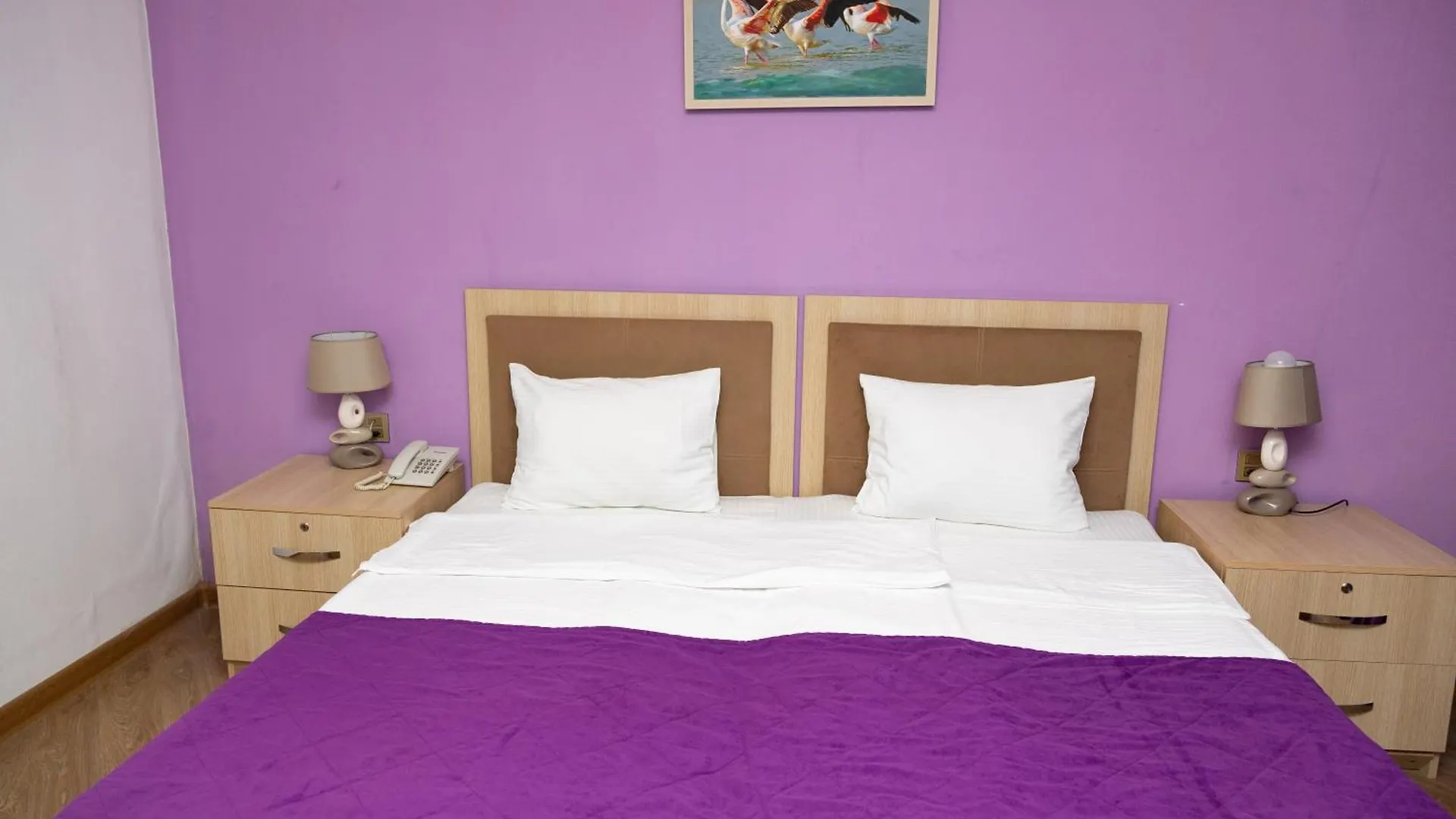 Flamingo Hotel Baku 3*,